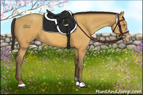 Horse Color:Amber Champagne 