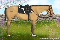 Horse Color:Amber Champagne