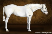 Horse Color:White Spotted Gold Cream Champagne Dun Tobiano Frame 