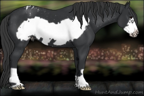 Horse Color:Black Frame Varnish