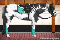 Horse Color:Black Tobiano Frame 