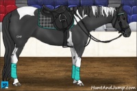 Horse Color:Black Tobiano 