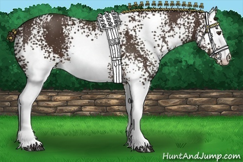 Horse Color:White Spotted Liver Chestnut 