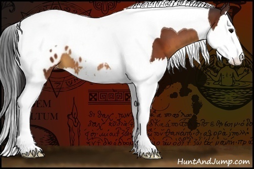 Horse Color:Bay Splash Tobiano Appaloosa 