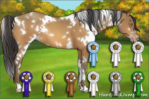 Horse Color:White Spotted Sable Champagne 