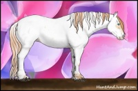 Horse Color:Buckskin Pearl Near Fewspot