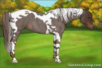 Horse Color:Liver Red Roan Tobiano 