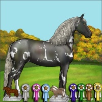 Horse Color:White Spotted Liver Chestnut 