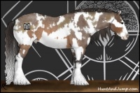 Horse Color:White Spotted Buckskin Roan Dun Splash  and White Spotted Buckskin Roan Splash 