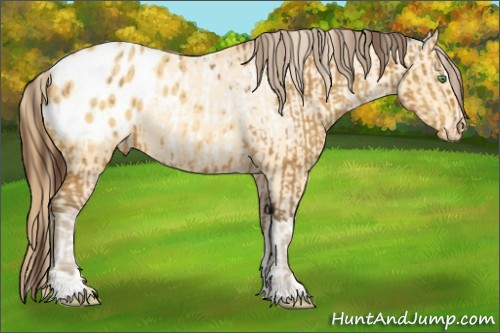 Horse Color:Amber Champagne Blanket and Amber Cream Champagne Sabino Blanket