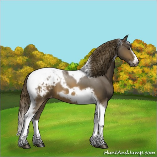 Horse Color:Buckskin Splash Tobiano Frame Varnish