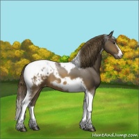 Horse Color:Buckskin Splash Tobiano Frame Varnish 