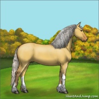 Horse Color:Silver Bay Dun Tobiano