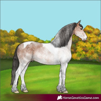 Horse Color:White Spotted Brown Tobiano Rabicano 