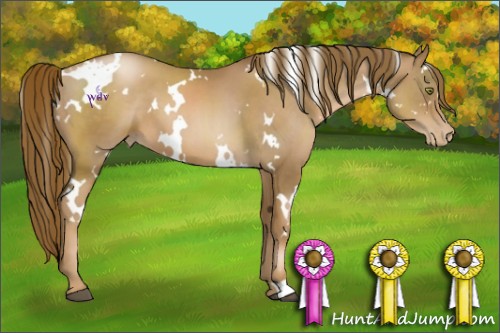Horse Color:White Spotted Liver Chestnut Pearl 
