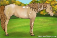 Horse Color:White Spotted Chestnut Pearl 