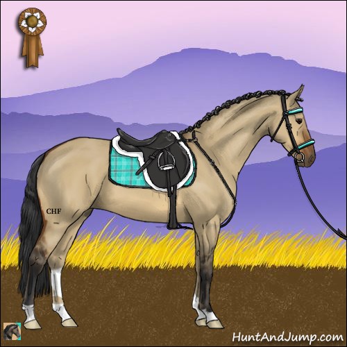 Horse Color:Bay Dun