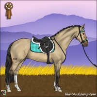Horse Color:Bay Dun