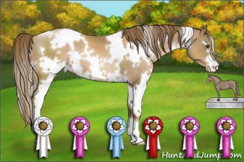 Horse Color:White Spotted Liver Chestnut Pearl 