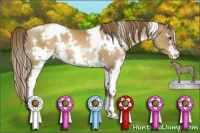 Horse Color:White Spotted Liver Chestnut Pearl 