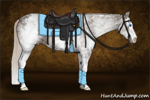 Horse Color:White Spotted Silver Black Splash 