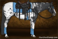 Horse Color:Black Tobiano Frame Blanket 