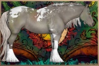 Horse Color:Silver Grullo Tobiano Rabicano