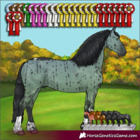 Horse Color:Grullo Chinchilla Tobiano Brindle 