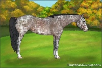 Horse Color:Bay Ice Sabino 