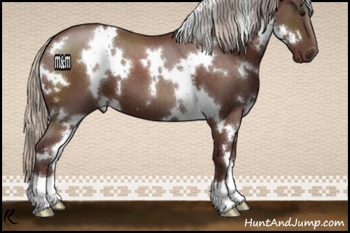 Horse Color:White Spotted Chocolate Silver Brown