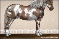 Horse Color:White Spotted Chocolate Silver Brown