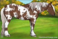 Horse Color:White Spotted Chocolate Silver Brown