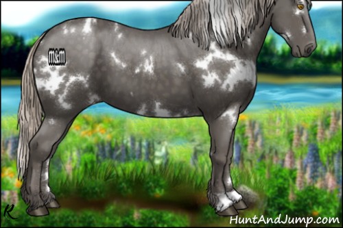 Horse Color:White Spotted Silver Black 