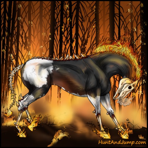 Horse Color:Brown Splash Appaloosa 