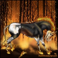 Horse Color:Brown Splash Appaloosa
