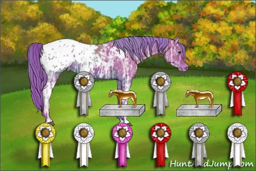 Horse Color:Watercolor Chestnut Ice Appaloosa 