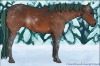 Horse Color:Painted Bay 