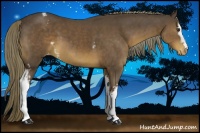 Horse Color:White Spotted Liver Chestnut Mushroom Varnish 