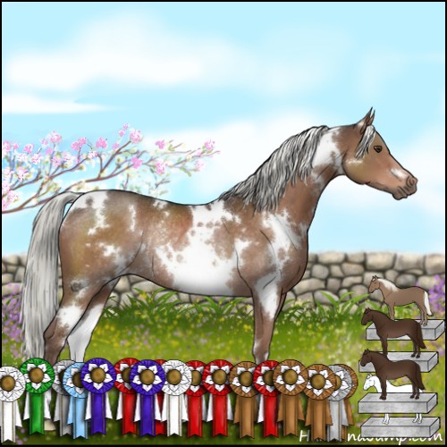 Horse Color:White Spotted Liver Chestnut Rabicano 