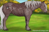 Horse Color:Chocolate Silver Black Chinchilla 