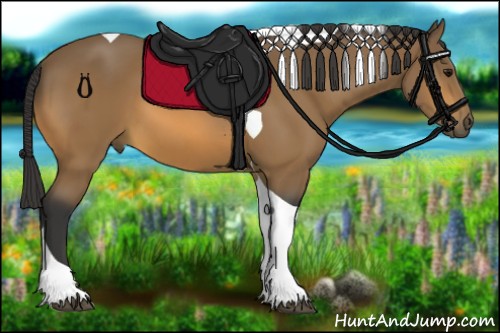 Horse Color:Buckskin Tobiano 