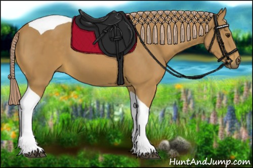 Horse Color:Palomino Tobiano