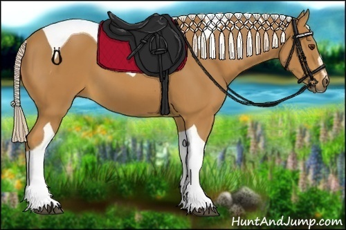 Horse Color:Palomino Sabino Tobiano 