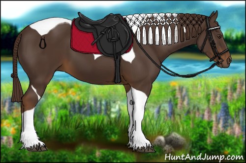 Horse Color:Liver Chestnut Tobiano 