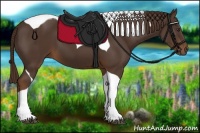Horse Color:Liver Chestnut Tobiano 