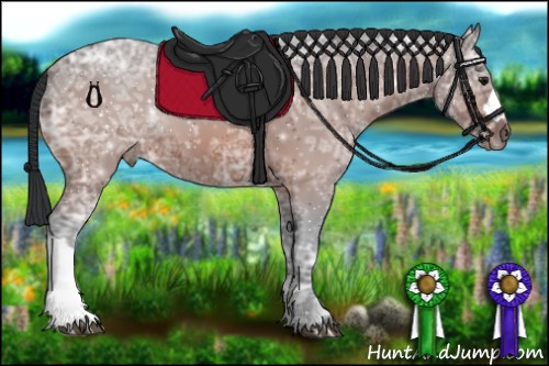 Horse Color:Bay Ice 