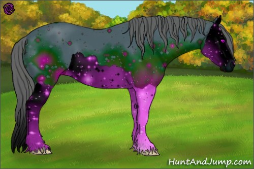 Horse Color:ERROR: UNKNOWN ANOMALY