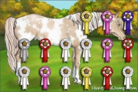 Horse Color:White Spotted Chocolate Palomino Pearl 