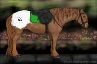 Horse Color:Chestnut Snowcap 