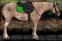 Horse Color:Chestnut Ice 